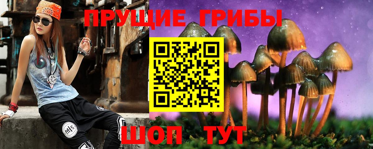 Галлюциногенные грибы мухоморы Пыть-Ях