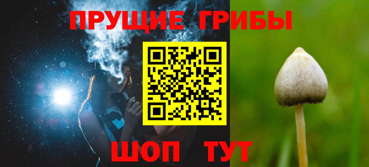 Пыть-Ях  купить наркотики цена  Псилоцибиновые грибы прущие грибы  Вход с VPN  Галлюциногенные грибы прущие грибы 